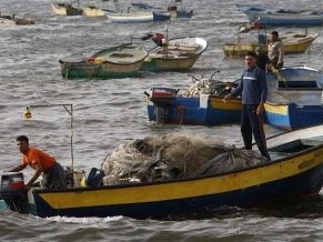 UN report: IDF barring Gazans&#039; access to farms, fishing zones