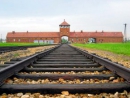 Record numbers visit Auschwitz