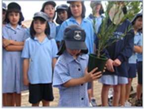 Закрывается единственная еврейская школа Южной Австралии