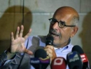 ElBaradei: Liberals &#039;decimated&#039; in parliamentary vote