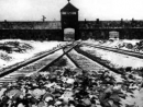 Auschwitz museum files complaint over smuggled WWII files