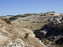 U.S. Jewish leaders call on Knesset to secure Mount of Olives