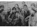 В Минске состоялась конференция «Судьба узников нацизма в послевоенное время»