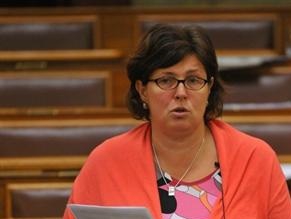 Hungary extreme-right MP slams Israeli presence in parliament