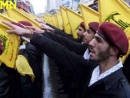 A distinction between the political and military wings of Hezbollah ?