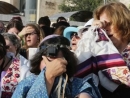 Women of the Wall free to pray following haredi schoolgirl protest