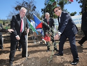 Visiting Czech Republic President plants olive tree in the Jerusalem forest