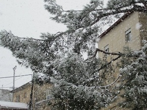 Heaviest snowstorm since 1953 hits Israel