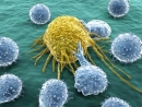 Израильтяне раскрыли «коварный» механизм клеток рака