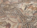 В Лоде найдена уникальная античная мозаика