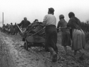 1941-й. Иллюзии и надежды накануне Холокоста