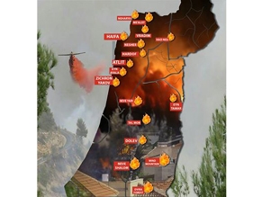60 тысяч израильтян эвакуировали из-за пожара в Хайфе