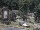 Суд в Гомеле отказался остановить строительство на бывшем еврейском кладбище
