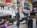 Son of cantor one of the three American scentists to win NobeL Prize for Medecine