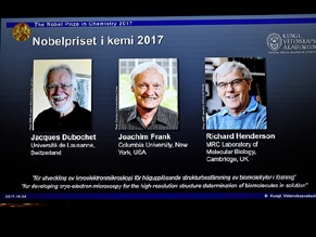 Нобелевскими лауреатами по химии стали разработчики методов криоэлектронной микроскопии