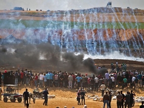 В Газе начались массовые беспорядки