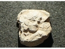 Археологи нашли печати, созданные в период Первого храма