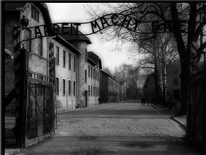 Исследование показало, что почти четверть евреев, погибших во время Холокоста, были убиты в течение 100 дней в 1942 году