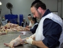 Belgian ban on kosher slaughter has Jews worried about what comes next