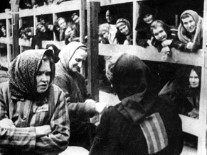 Голландский музей Холокоста не выставил фото Аушвица
