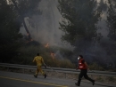 Russia offers Israel help in fighting wildfires