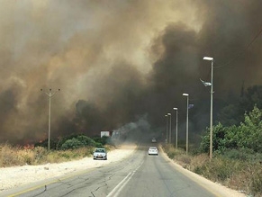 Пожары в Израиле: волну огня удалось остановить
