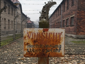 Польские лидеры призывают Всемирный форум по Холокосту осудить Путина за его заявление о том, что поляки сотрудничали с Гитлером