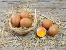 МИД Израиля договорился о поставках яиц из Украины