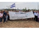 В Израиле высадили оливковую рощу в ответ на теракт в синагоге в США