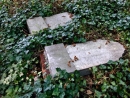 В Польше осквернены надгробные плиты на еврейском кладбище