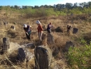 В Одесской области старинное еврейское кладбище расчистили от мусора
