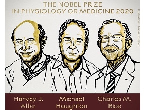 Объявлены лауреаты Нобелевской премии по медицине-2020