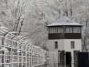 В Германии жалуются на людей, которые катаются на санях на территории бывшего концлагеря Бухенвальд