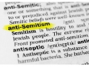 Меган Маккейн: Антисемитизм – единственная терпимая у нас форма фанатизма