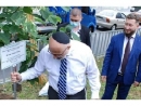 В Днепре посол Израиля и консул ФРГ высадили первые деревья на «Аллее дипломатов»