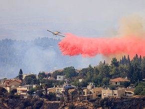 Пожары возле Иерусалима: Израиль запросил международную помощь