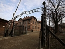 Туристка из Нидерландов оштрафована за нацистское приветствие у входа в Аушвиц