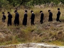 СБУ рекомендует еврейским паломникам воздержаться в этом году от визита в Украину